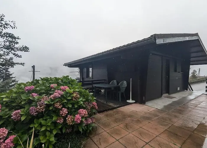 Horská chata Le Petit Bellevue - Cosy Calme Parking La Bresse